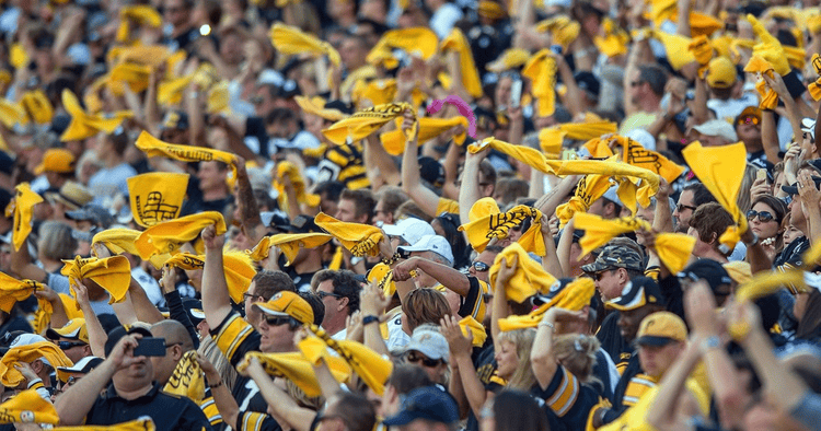 Unlocking the Mystery :  What is the Pittsburgh Steelers Mascot?