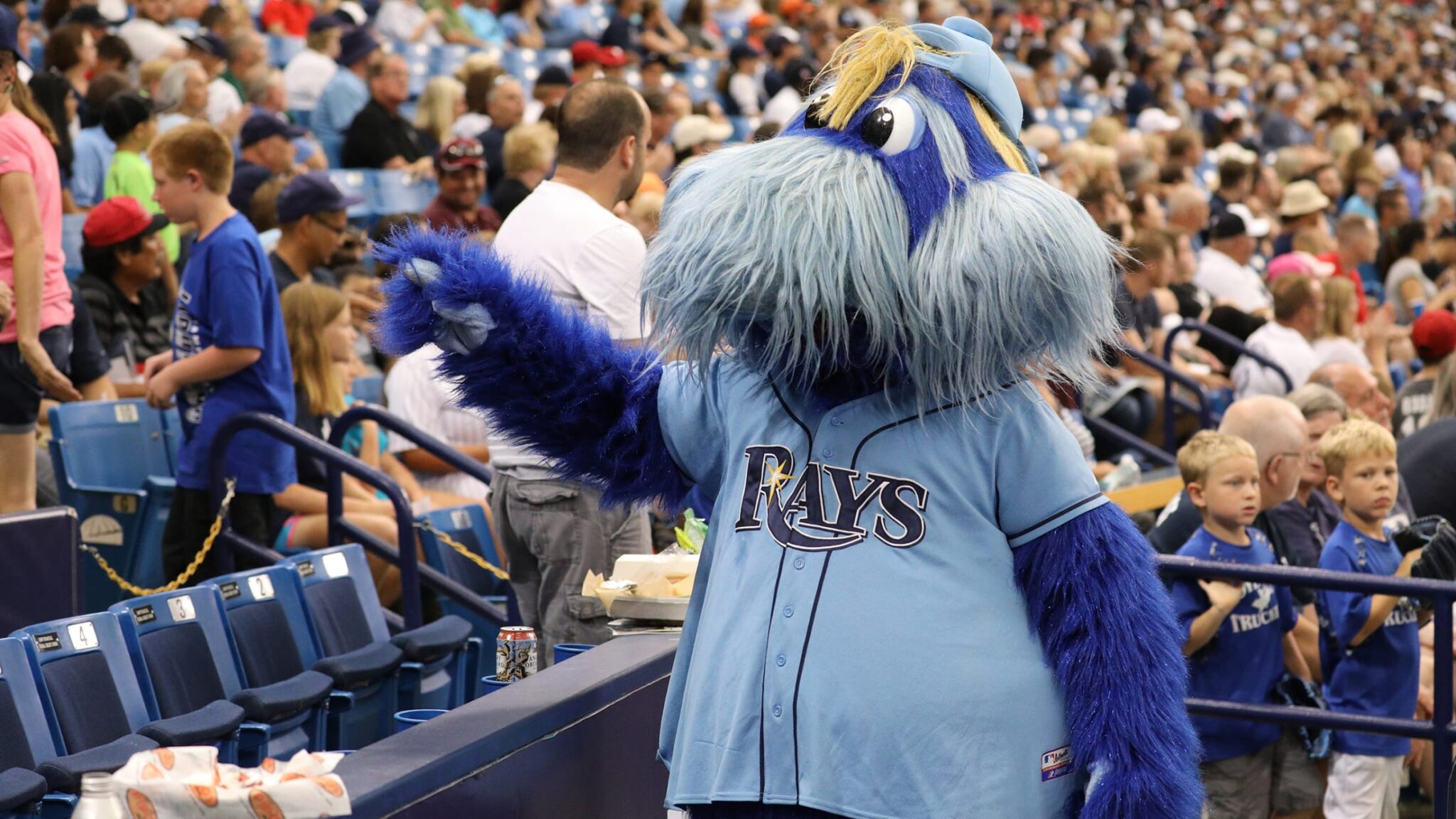 what is the tampa bay rays mascot