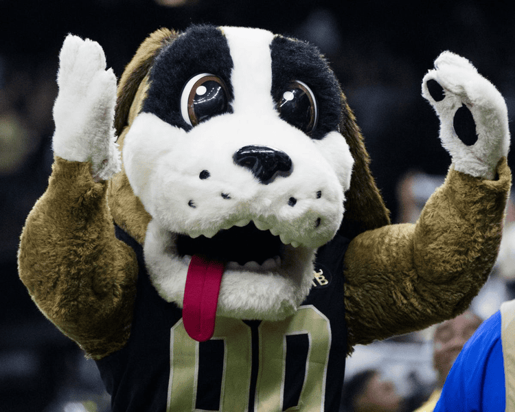 What is the New Orleans Saints Mascot