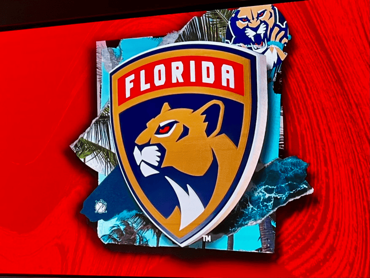 Who Owns The Florida Panthers