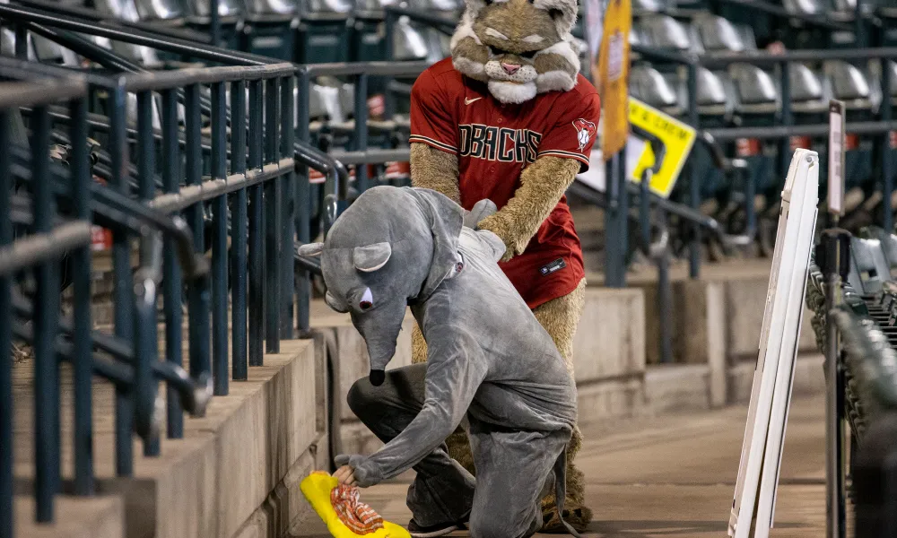 what is the arizona diamondbacks mascot