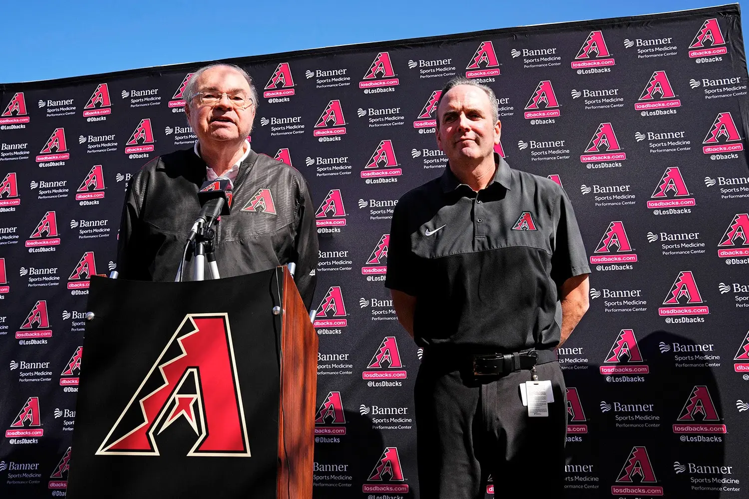 who owns the arizona diamondbacks