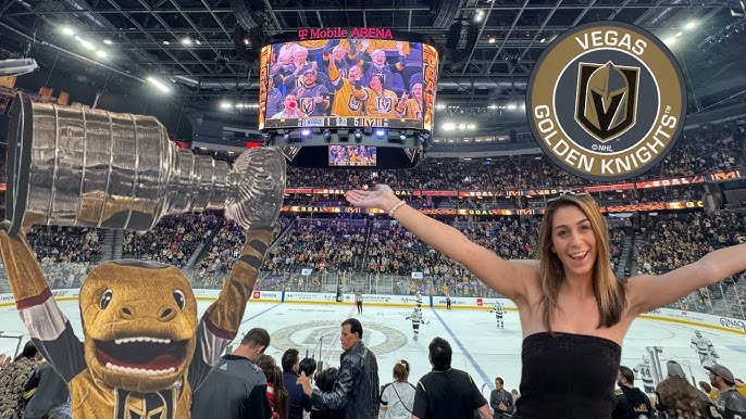 Who Owns the Vegas Golden Knights